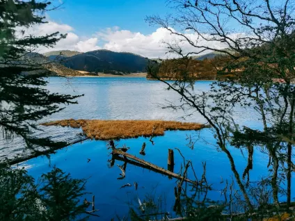 WagonBet Kasino Mobilapp